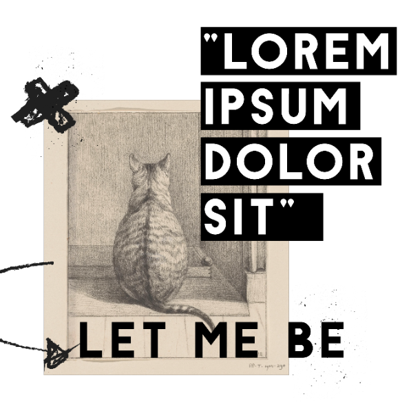 Graphic illustrations for t-shirts of cat's lovers